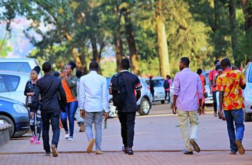 Notice: Government Admission Letters (Released)