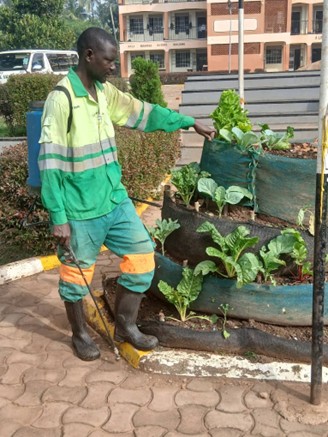From Hospitality to Harvest - The Agribusiness Evolution of Wepukhulu Juma