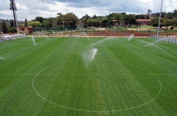 The constructed pitch
