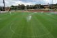 The constructed pitch