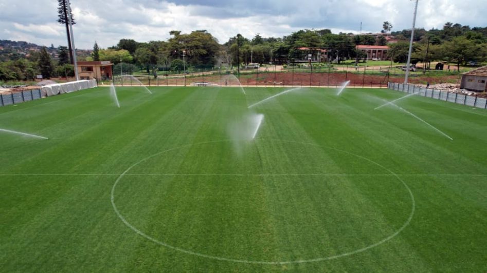 The constructed pitch